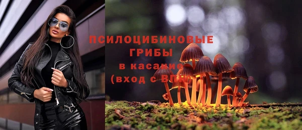 мет Абинск